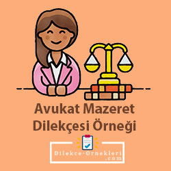 Avukat Mazeret Dilekçesi Örneği