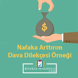 Nafaka arttırım dava dilekçesi örneği