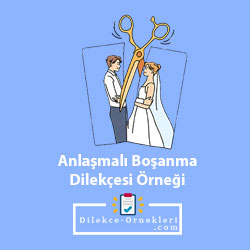 Anlaşmalı Boşanma Dilekçesi Örneği